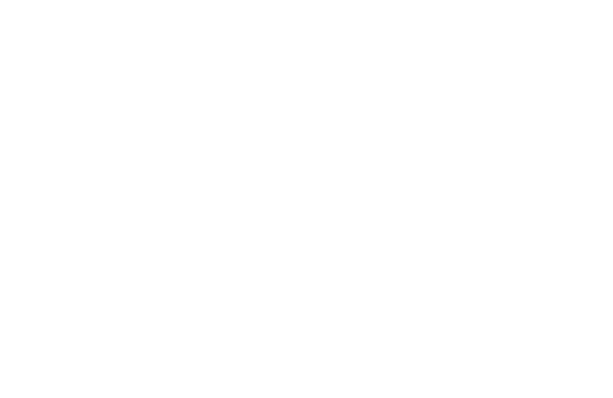Florida Rental Car