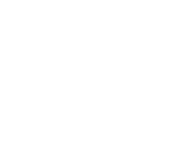 MIPPEL